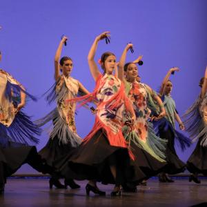 Fotografía de Talleres Danza Española (galería 2) - Conservatorio de Danza